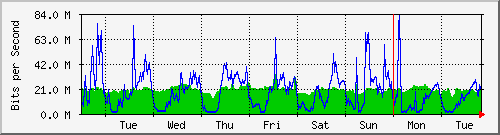 week