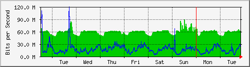 week