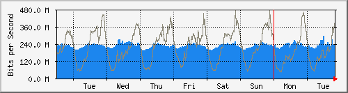 week