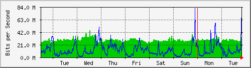 week