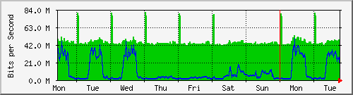 week