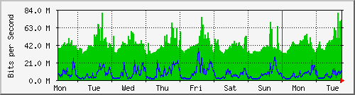 week