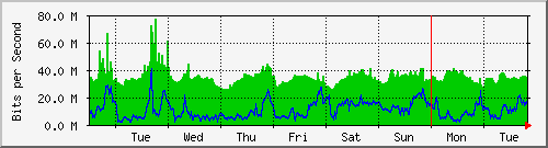week