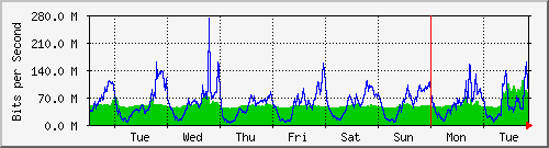 week