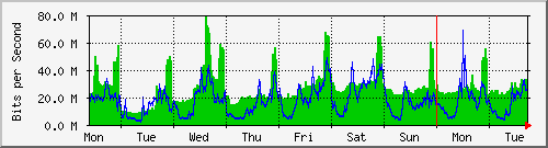 week