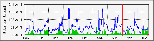 week