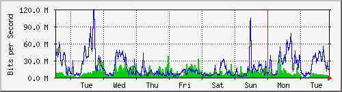 week