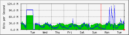 week