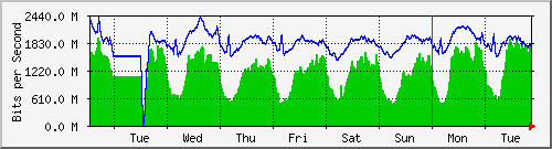 week