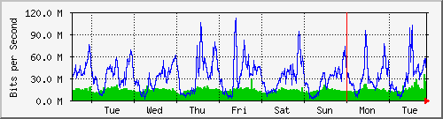 week