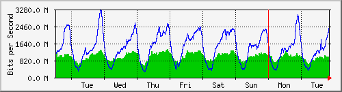 week