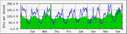 week