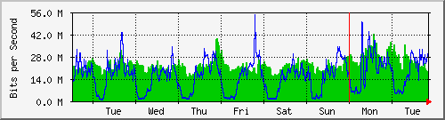 week