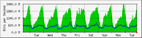 week