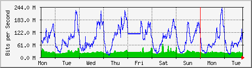 week