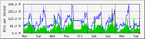 week