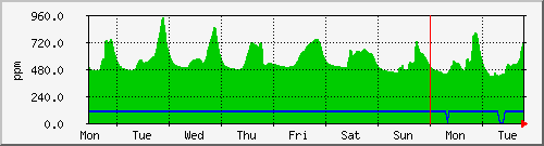 week