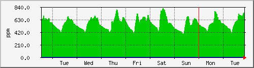 week