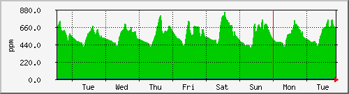 week