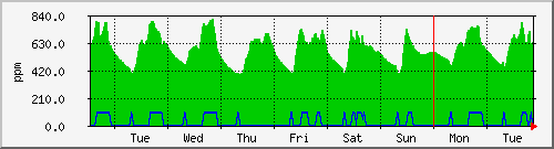 week